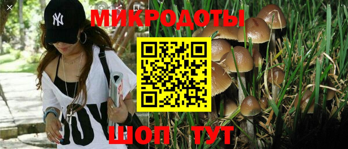 Псилоцибиновые грибы мицелий Ипатово
