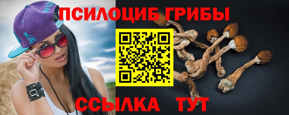 Псилоцибиновые грибы Cubensis  Псилоцибиновые грибы Psilocybe  Вход с VPN  Ипатово 